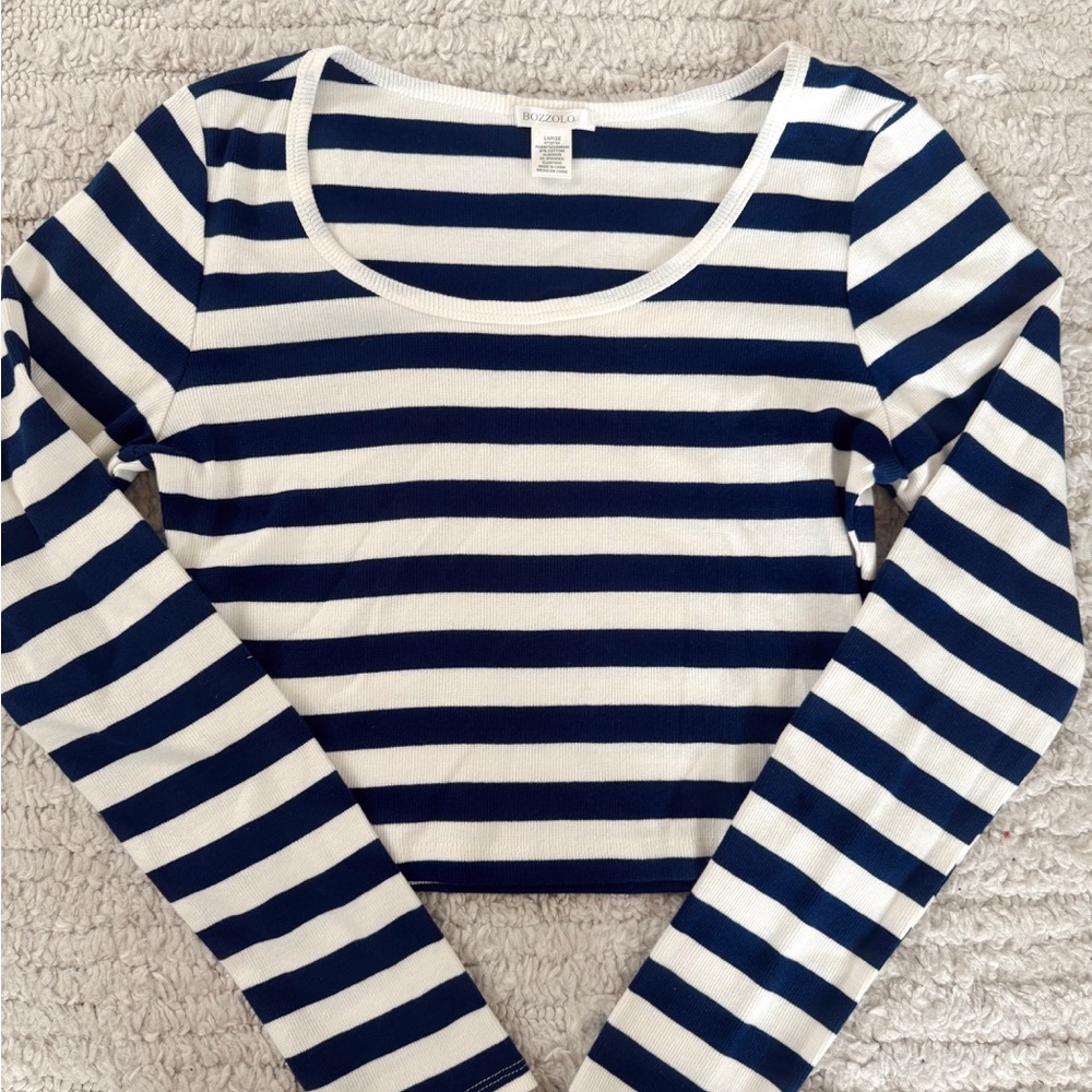 Bozzolo Blue and White Fitted Crop Blouse